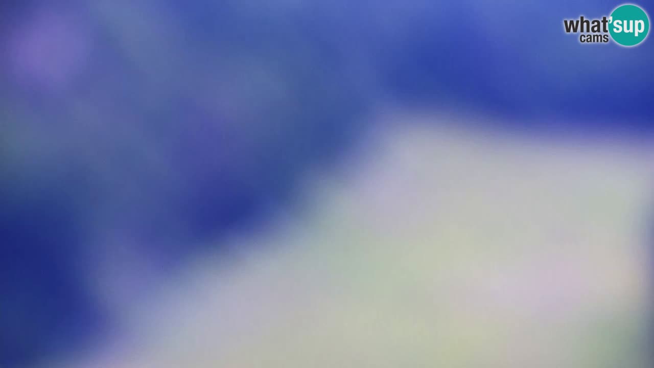 Webcam Kranjska Gora SKI – panoramica Piste centrali