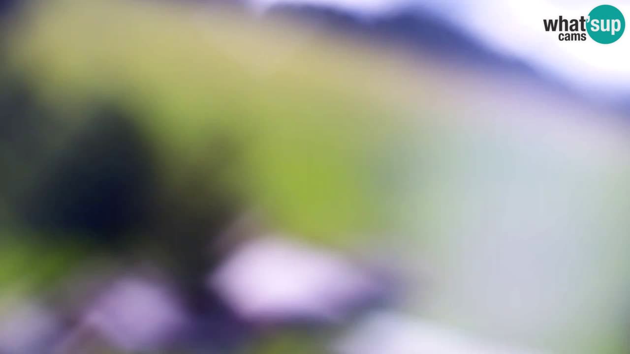 Web kamera Kranjska Gora Skijalište | Proge Mojca in Kekec