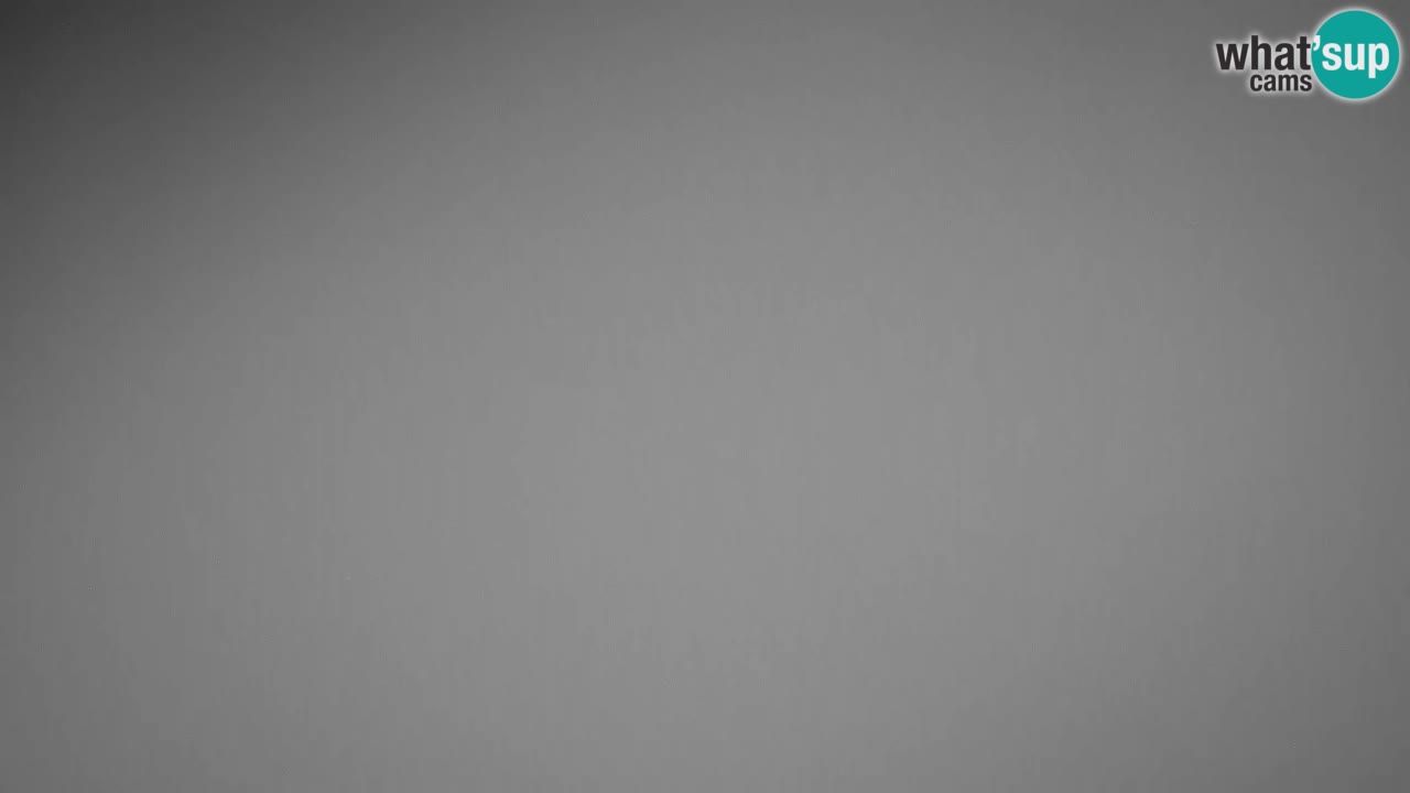 Webcam Kranjska Gora SKI – panoramica Piste centrali