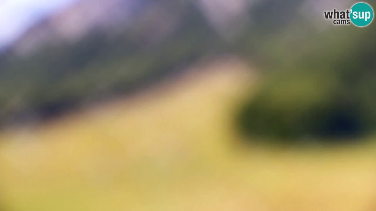 Web kamera Kranjska Gora Skijalište | Proge Mojca in Kekec