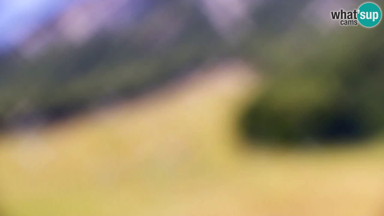 Webcam Estación de esquí Kranjska Gora – Eslovenia