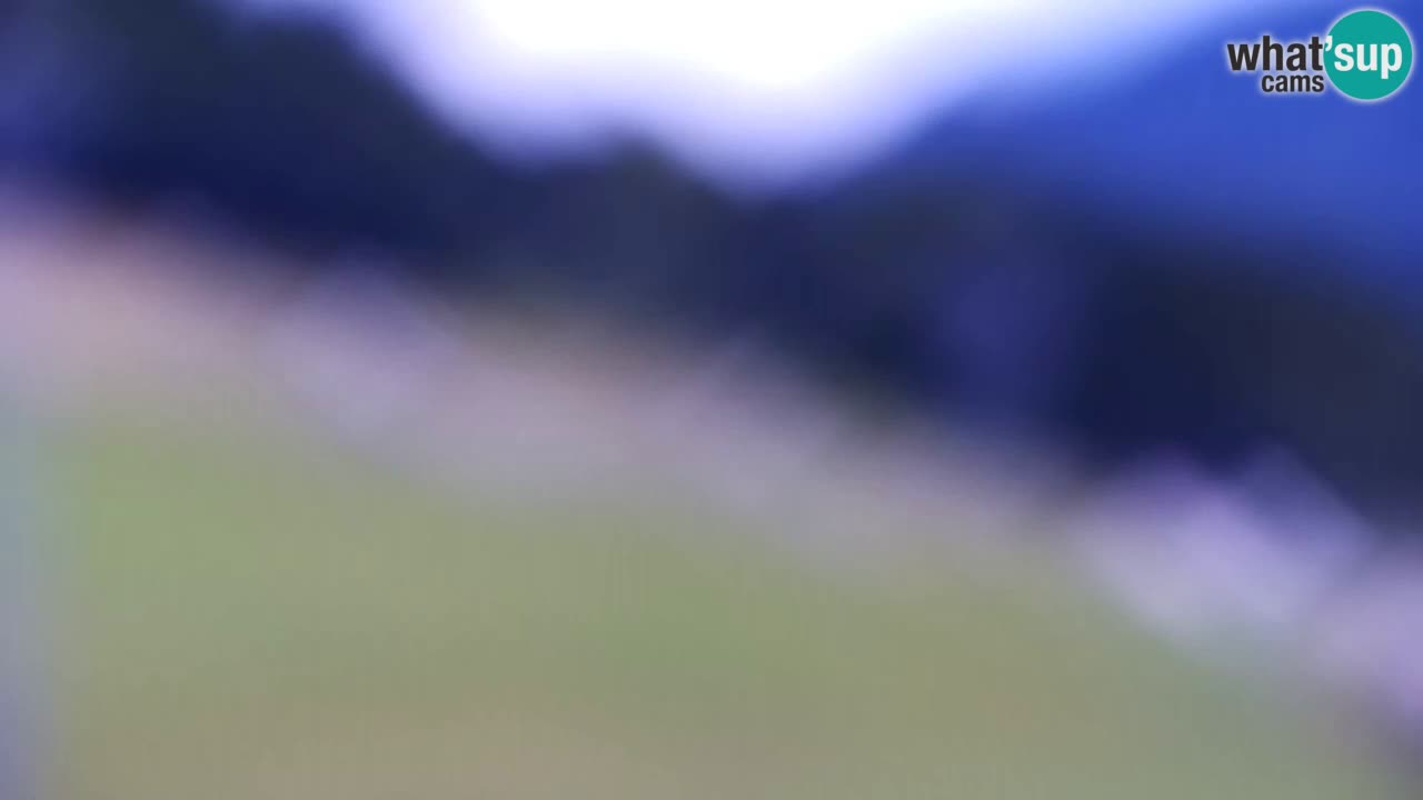 Web kamera Kranjska Gora Skijalište | Proge Mojca in Kekec