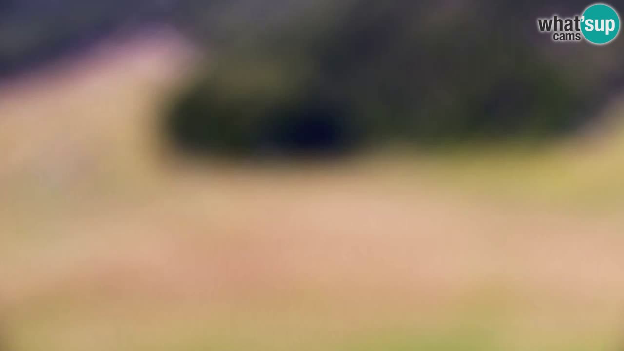 Web kamera Kranjska Gora Skijalište | Proge Mojca in Kekec