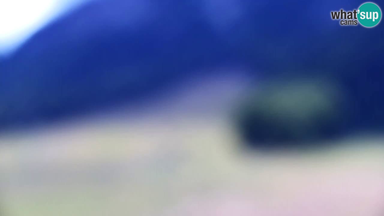 Webcam Kranjska Gora SKI – panoramica Piste centrali