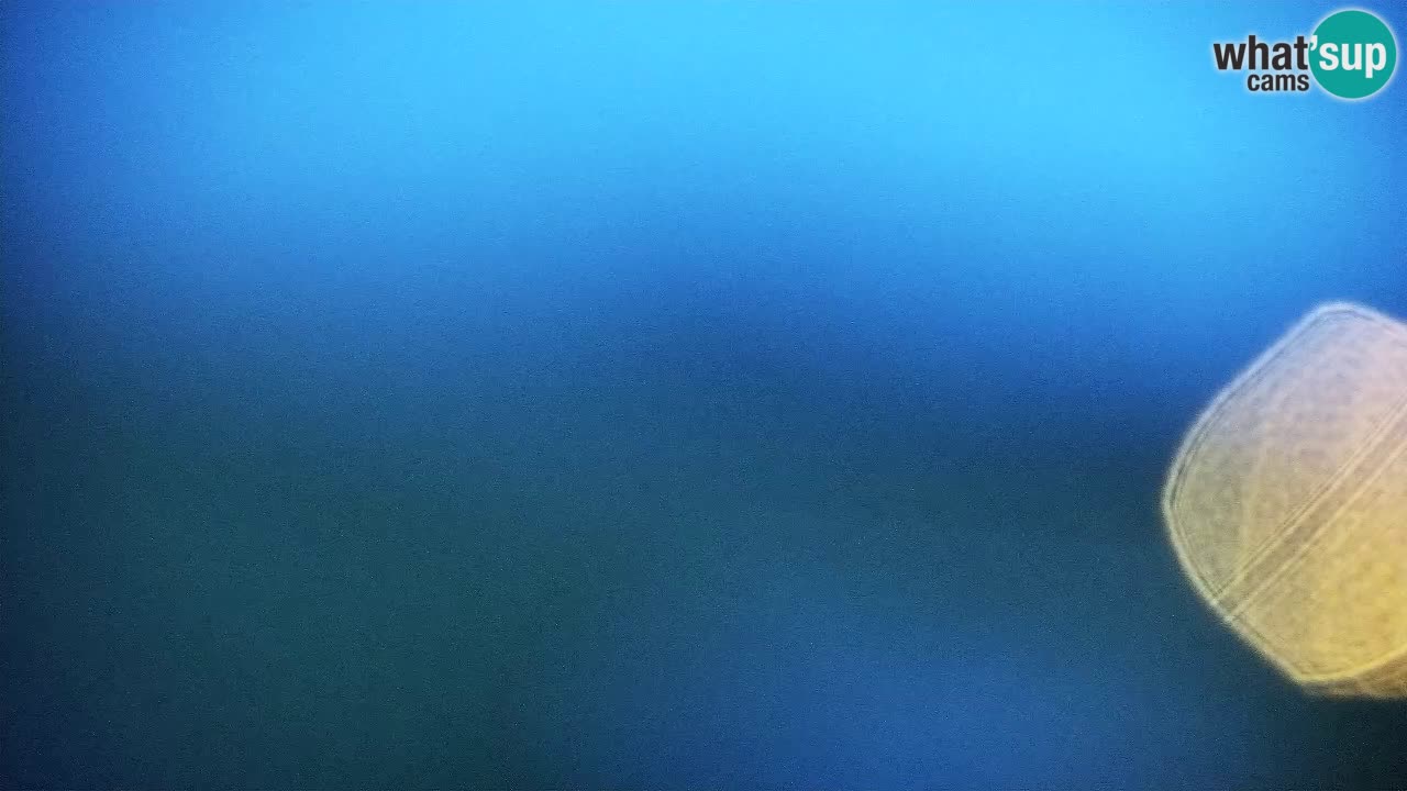 Webcam Kranjska Gora SKI resort | Bech, Kekec, Mojca ski