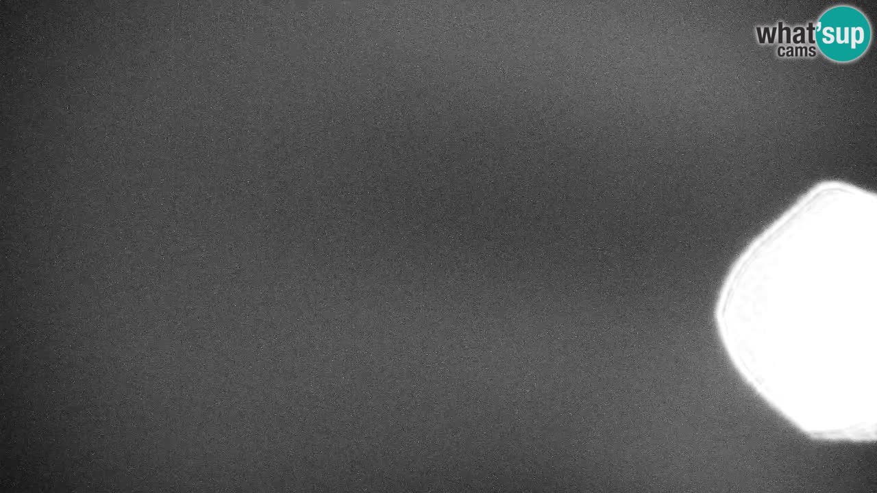 Webcam Kranjska Gora SKI resort | Bech, Kekec, Mojca ski