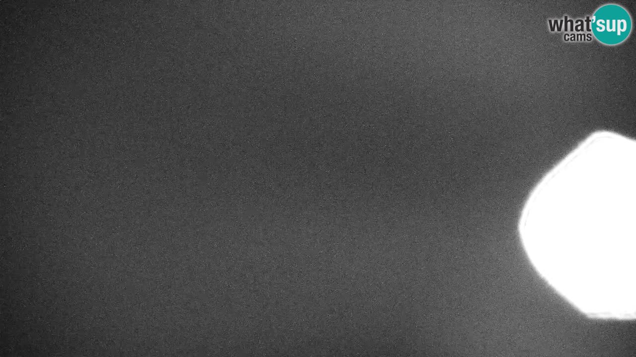Webcam Kranjska Gora SKI – panoramica Piste centrali