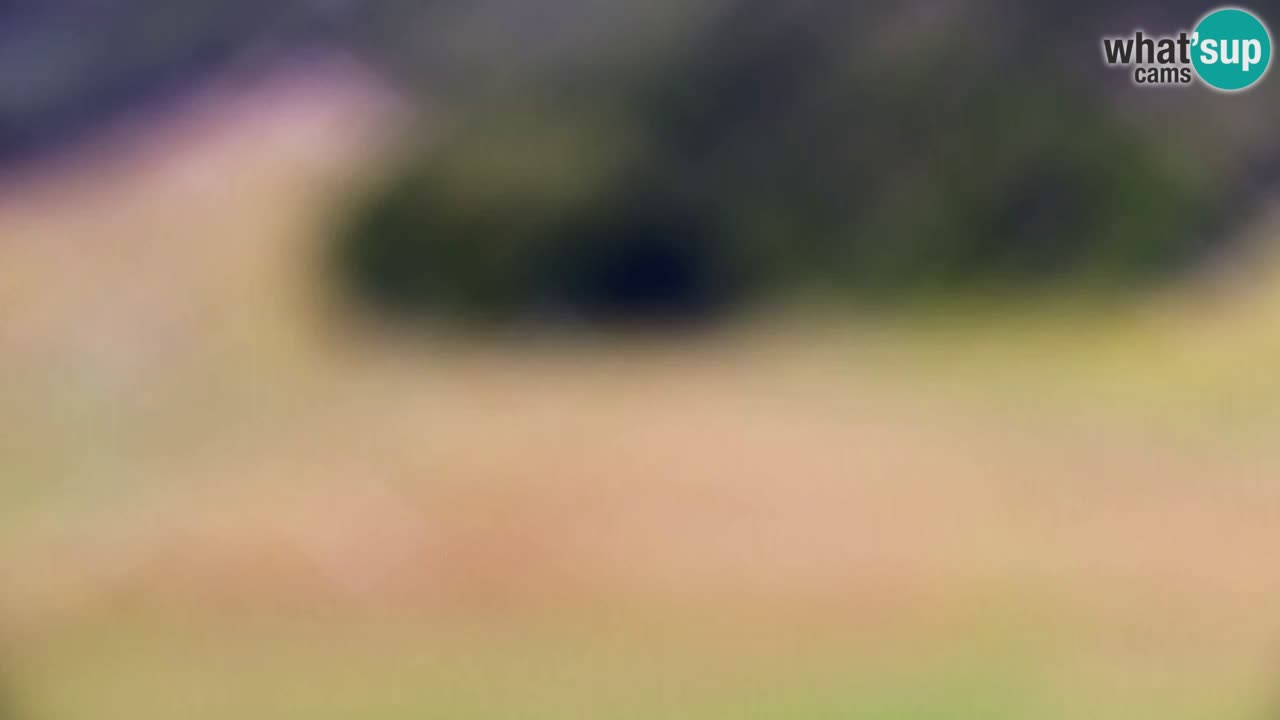 Web kamera Kranjska Gora Skijalište | Proge Mojca in Kekec