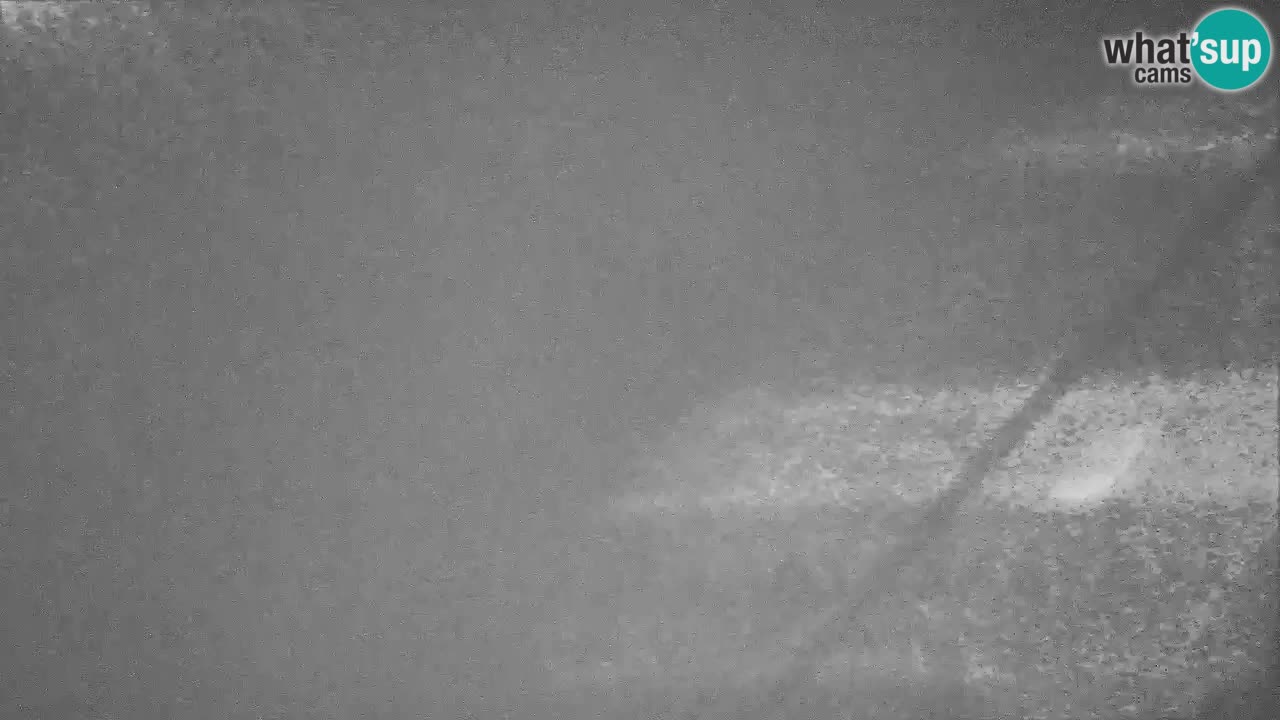 Webcam Kranjska Gora SKI resort | Bech, Kekec, Mojca ski