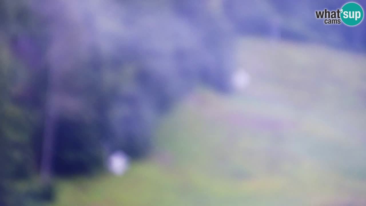 Webcam Kranjska Gora SKI – panoramica Piste centrali