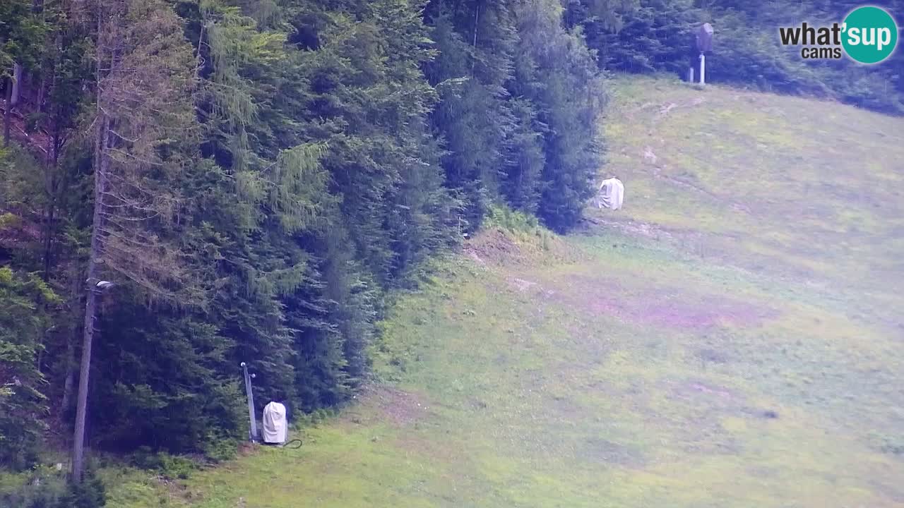 Webcam Kranjska Gora SKI – panoramica Piste centrali