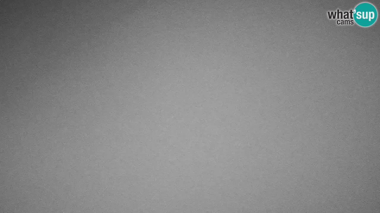 Webcam Kranjska Gora SKI – panoramica Piste centrali
