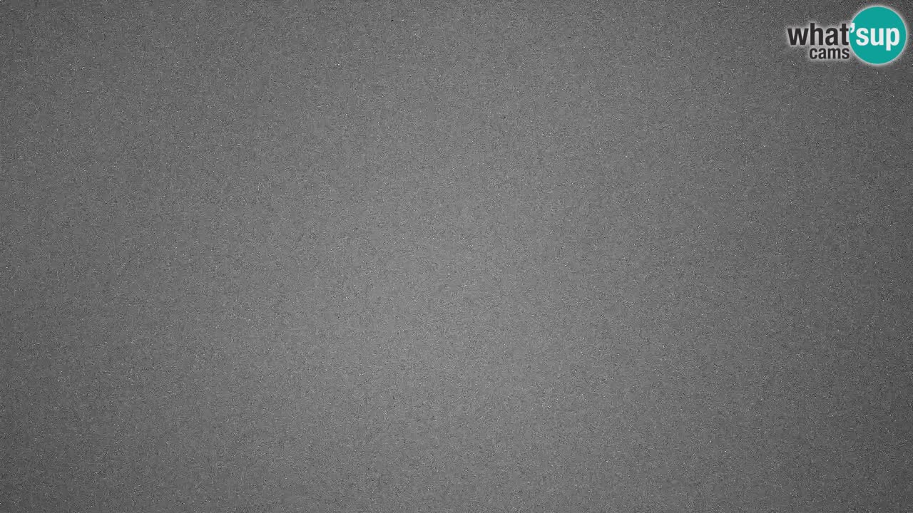 Webcam Kranjska Gora SKI resort | Bech, Kekec, Mojca ski