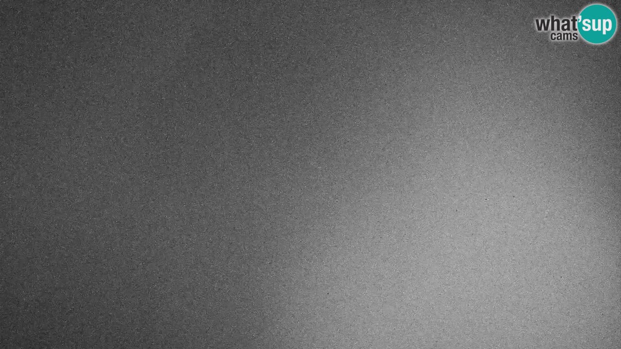 Webcam Kranjska Gora SKI – panoramica Piste centrali