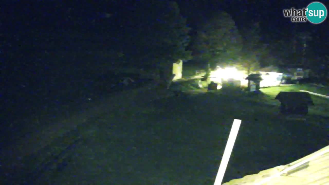 Webcam Kranjska Gora SKI resort | Bech, Kekec, Mojca ski