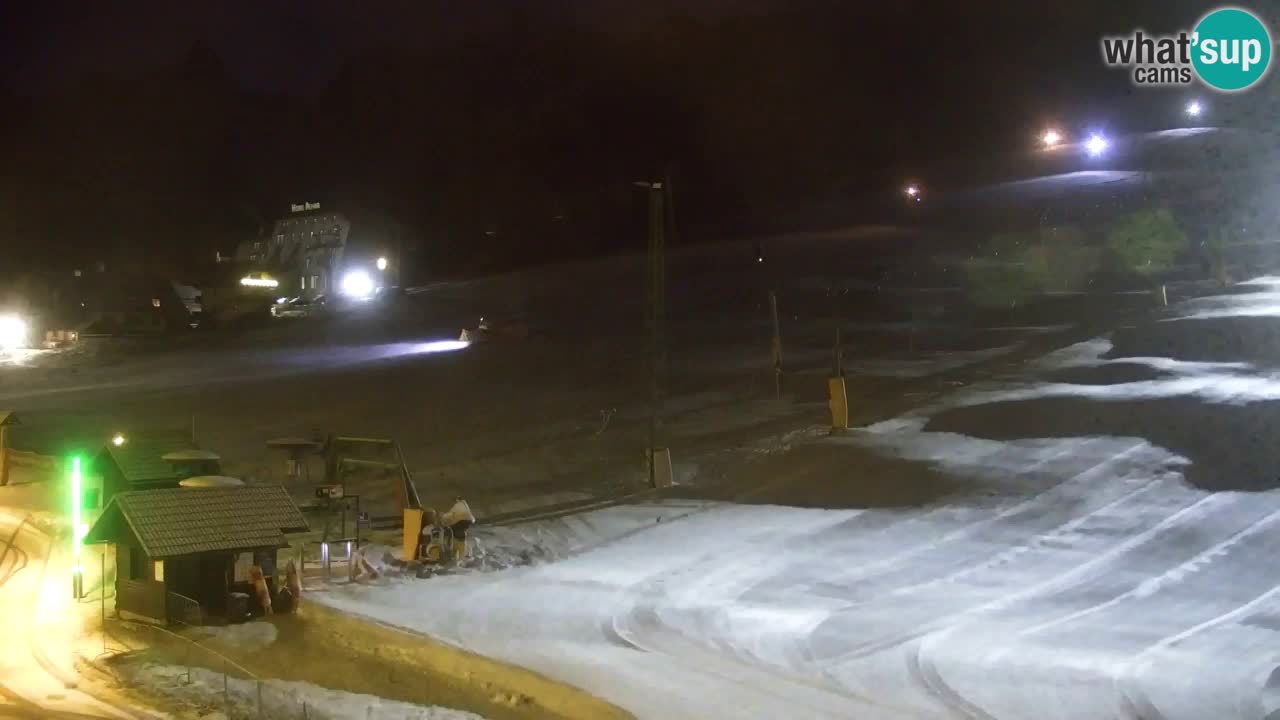 Web kamera Kranjska Gora Skijalište | Proge Mojca in Kekec