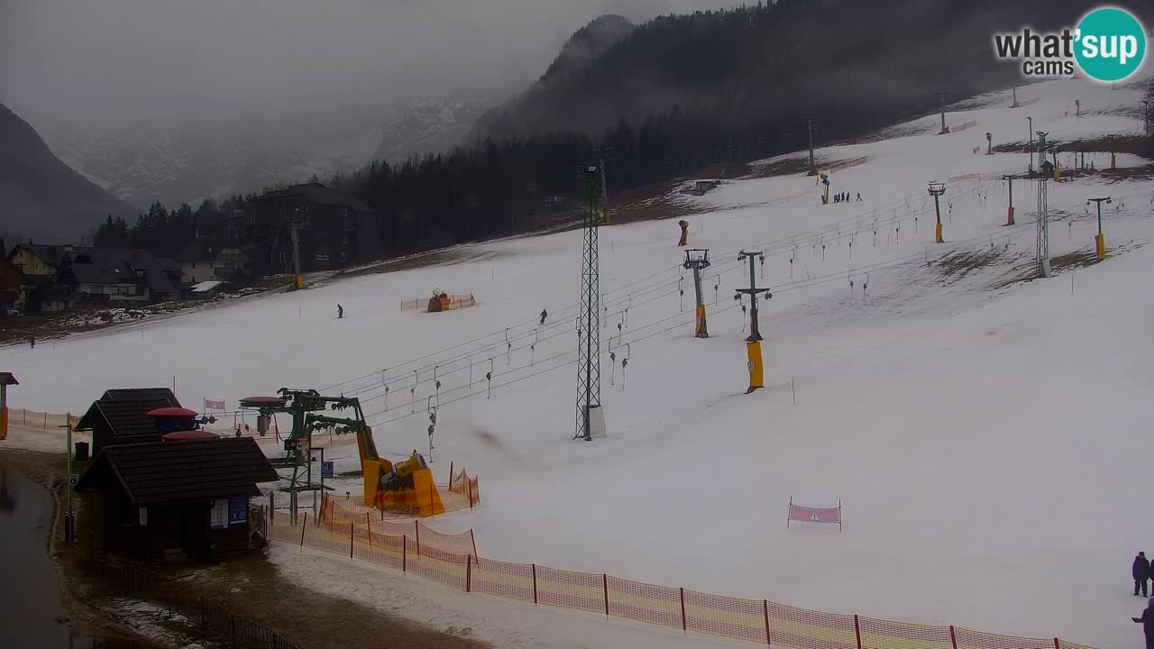 Webcam Kranjska Gora SKI – panoramica Piste centrali