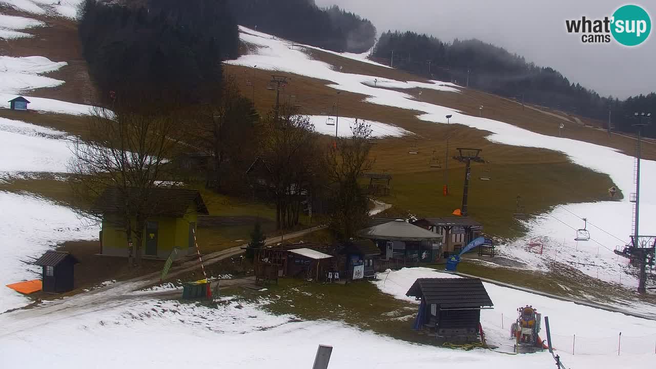 Webcam Station de ski Kranjska Gora – Slovénie