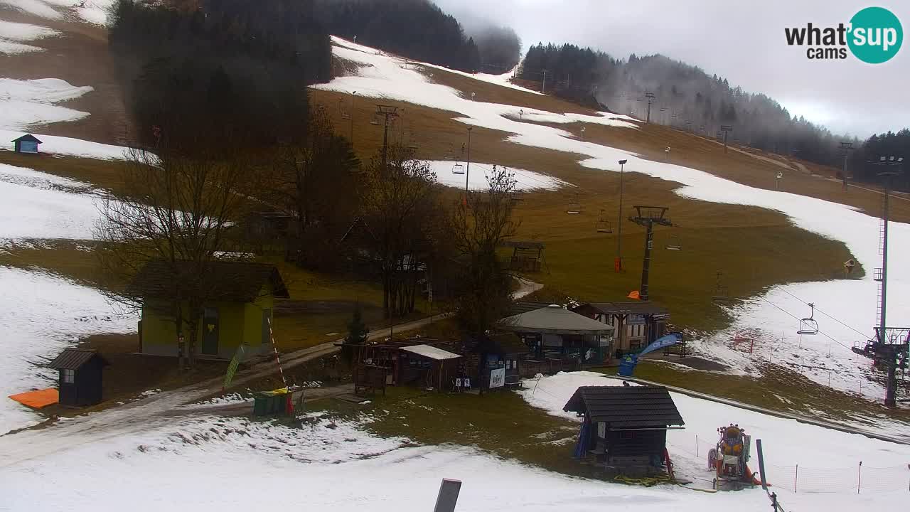 Webcam Estación de esquí Kranjska Gora – Eslovenia