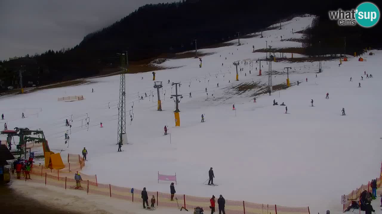 Webcam Station de ski Kranjska Gora – Slovénie