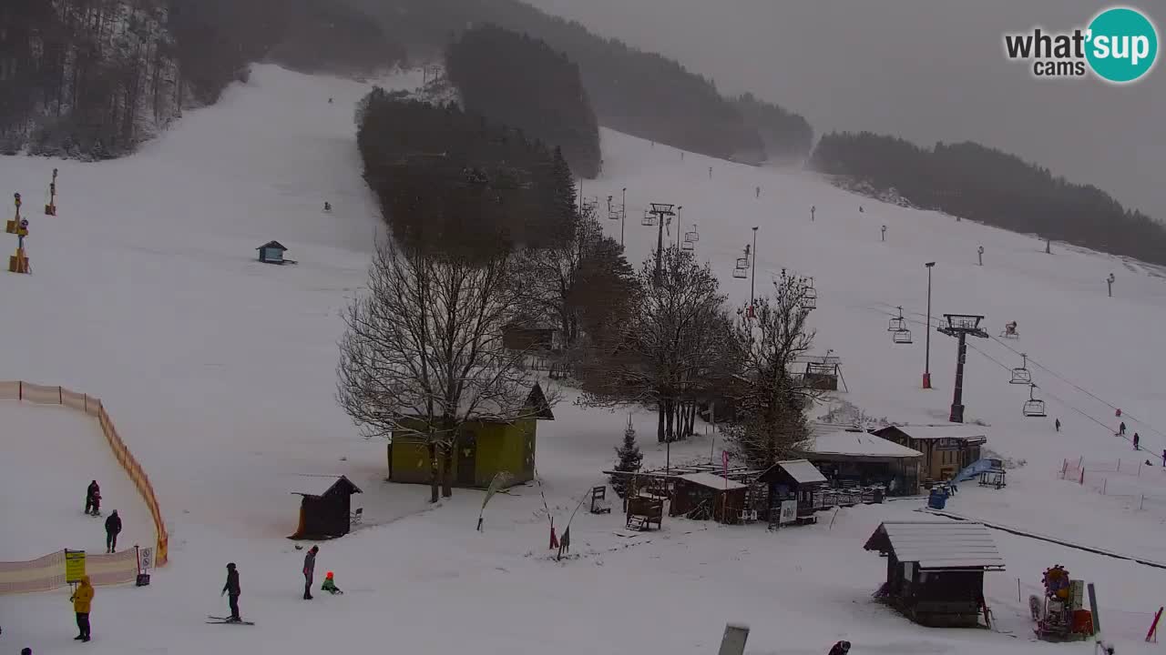 Webcam Kranjska Gora SKI – panoramica Piste centrali