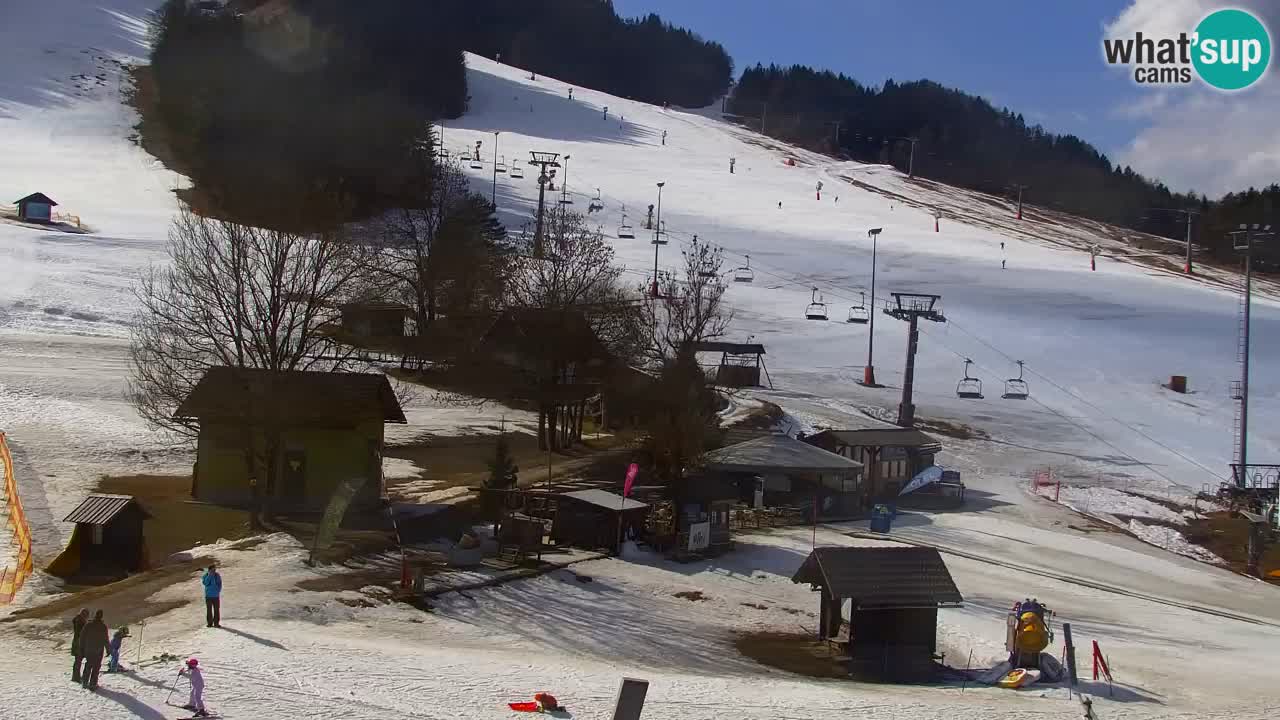 Webcam Kranjska Gora SKI – panoramica Piste centrali