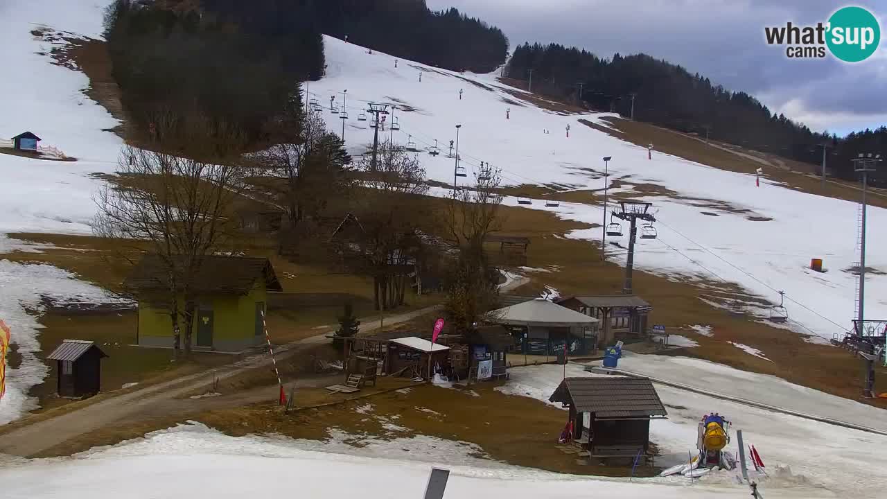 Webcam Kranjska Gora SKI resort | Bech, Kekec, Mojca ski