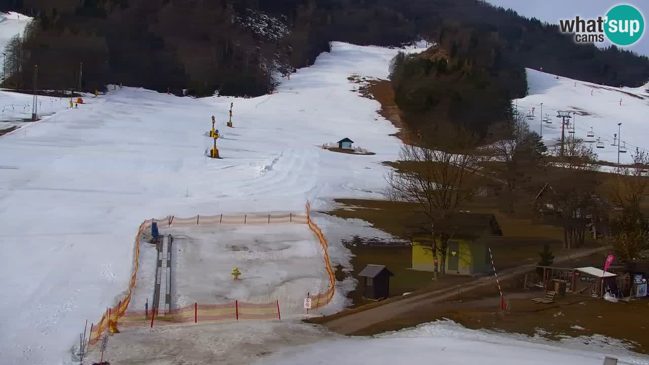 Webcam Skigebiet Kranjska Gora – Slowenien