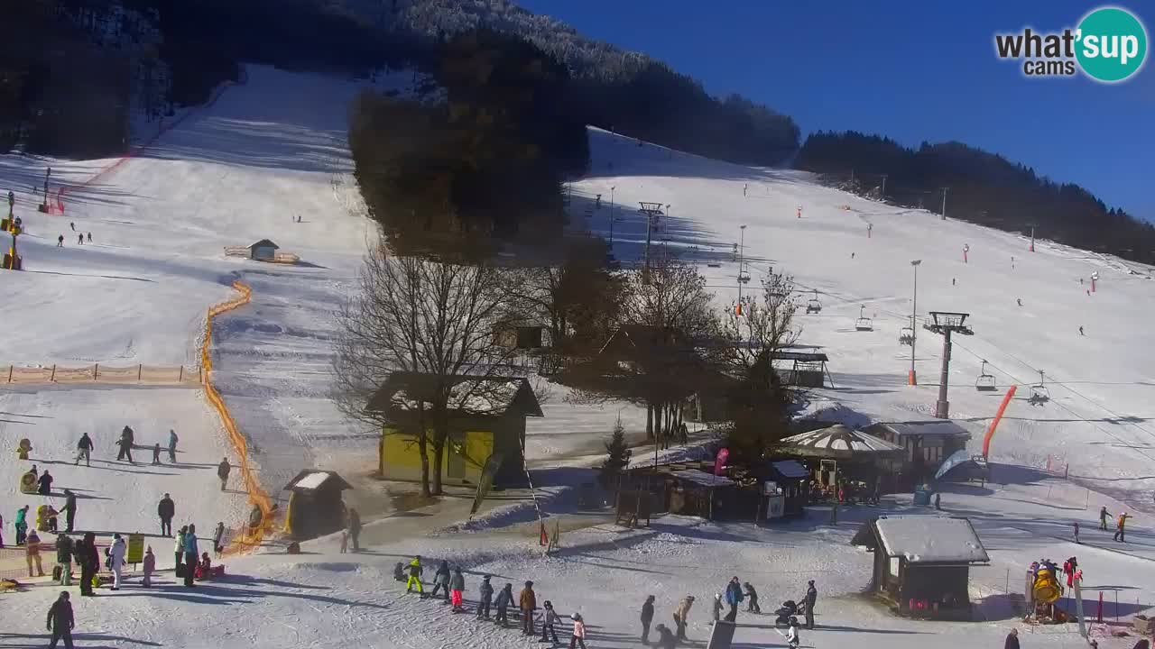Webcam Estación de esquí Kranjska Gora – Eslovenia