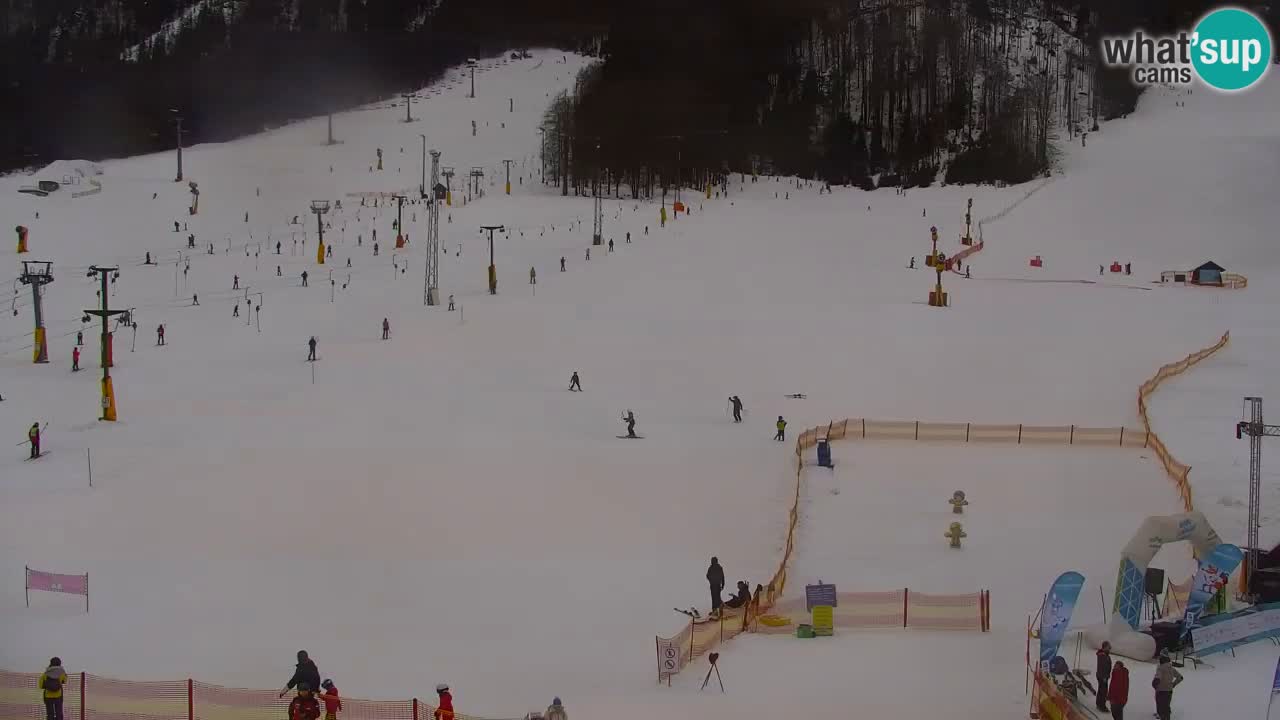 Webcam Station de ski Kranjska Gora – Slovénie