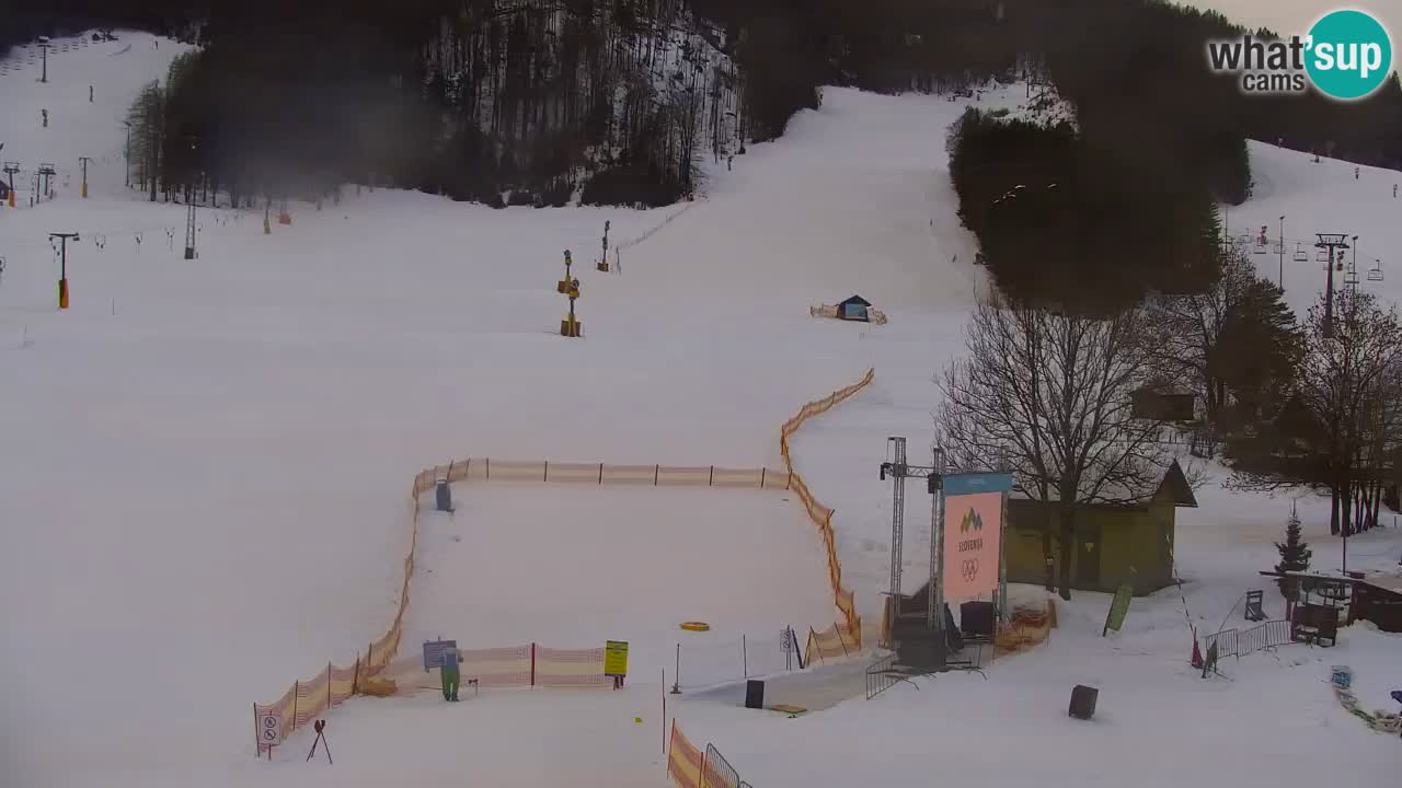 Webcam Skigebiet Kranjska Gora – Slowenien