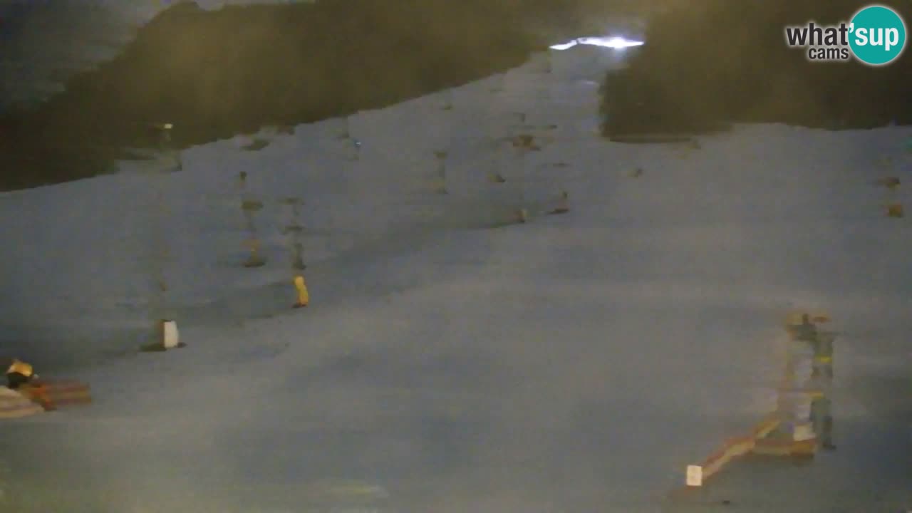 Webcam Kranjska Gora SKI resort | Bech, Kekec, Mojca ski