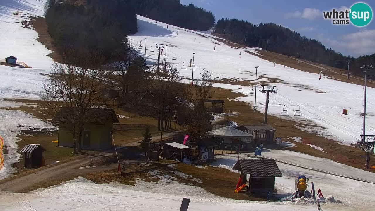 Webcam Kranjska Gora SKI resort | Bech, Kekec, Mojca ski