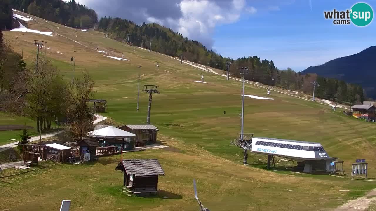 Webcam Kranjska Gora SKI resort | Bech, Kekec, Mojca ski