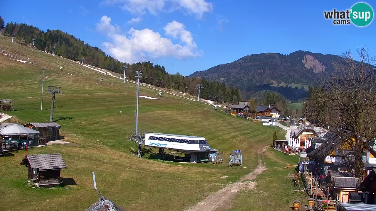 Web kamera Kranjska Gora Skijalište | Proge Mojca in Kekec