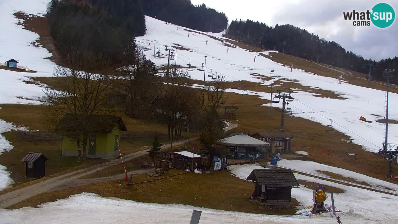Webcam Kranjska Gora SKI – panoramica Piste centrali