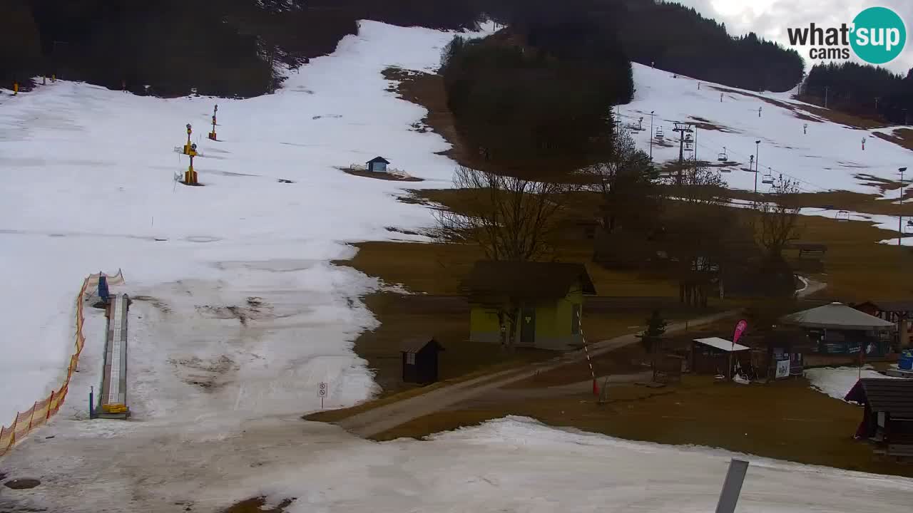 Webcam Kranjska Gora SKI – panoramica Piste centrali