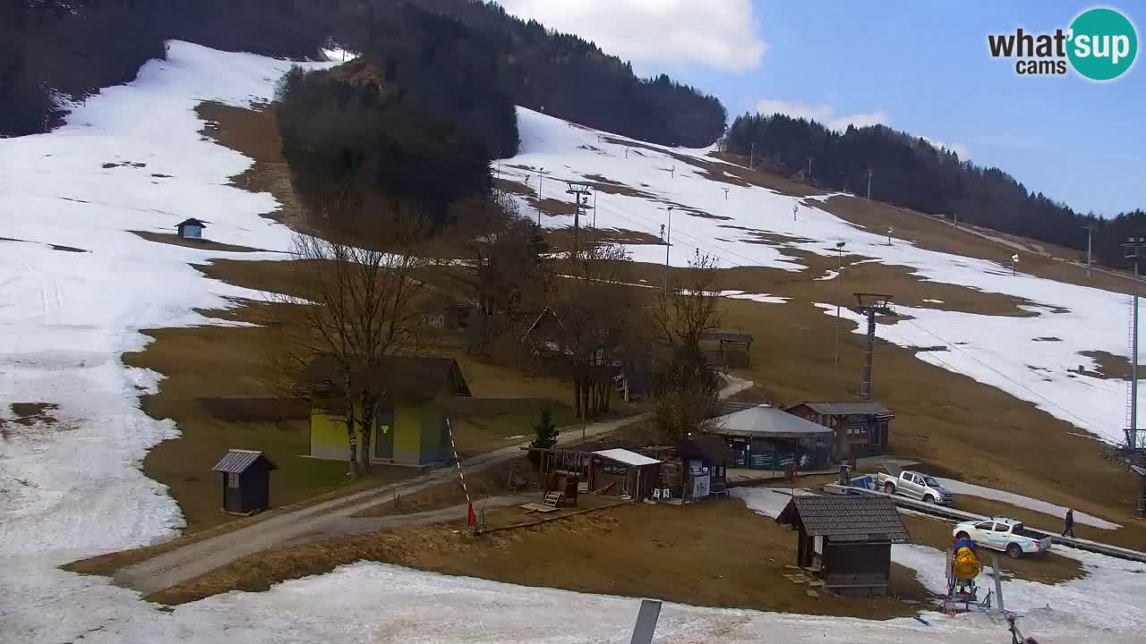 Webcam Kranjska Gora SKI resort | Bech, Kekec, Mojca ski