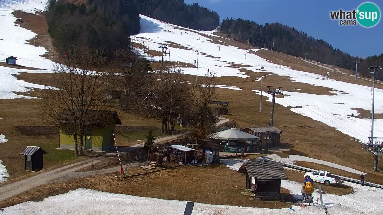 Webcam Kranjska Gora SKI resort | Bech, Kekec, Mojca ski
