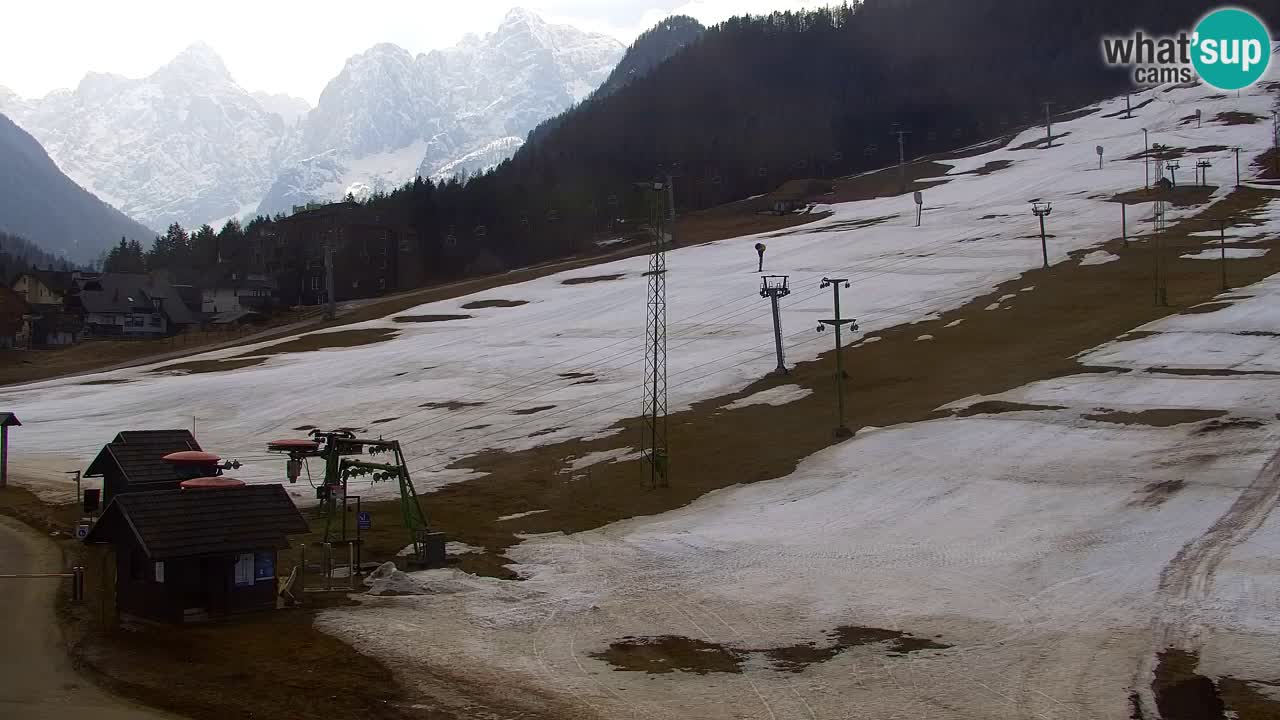 Webcam Kranjska Gora SKI – panoramica Piste centrali