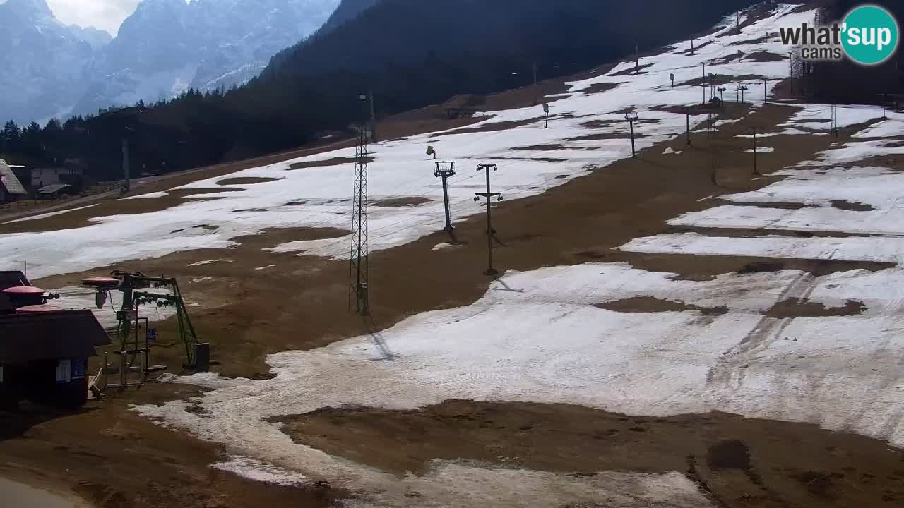 Webcam Kranjska Gora SKI resort | Bech, Kekec, Mojca ski