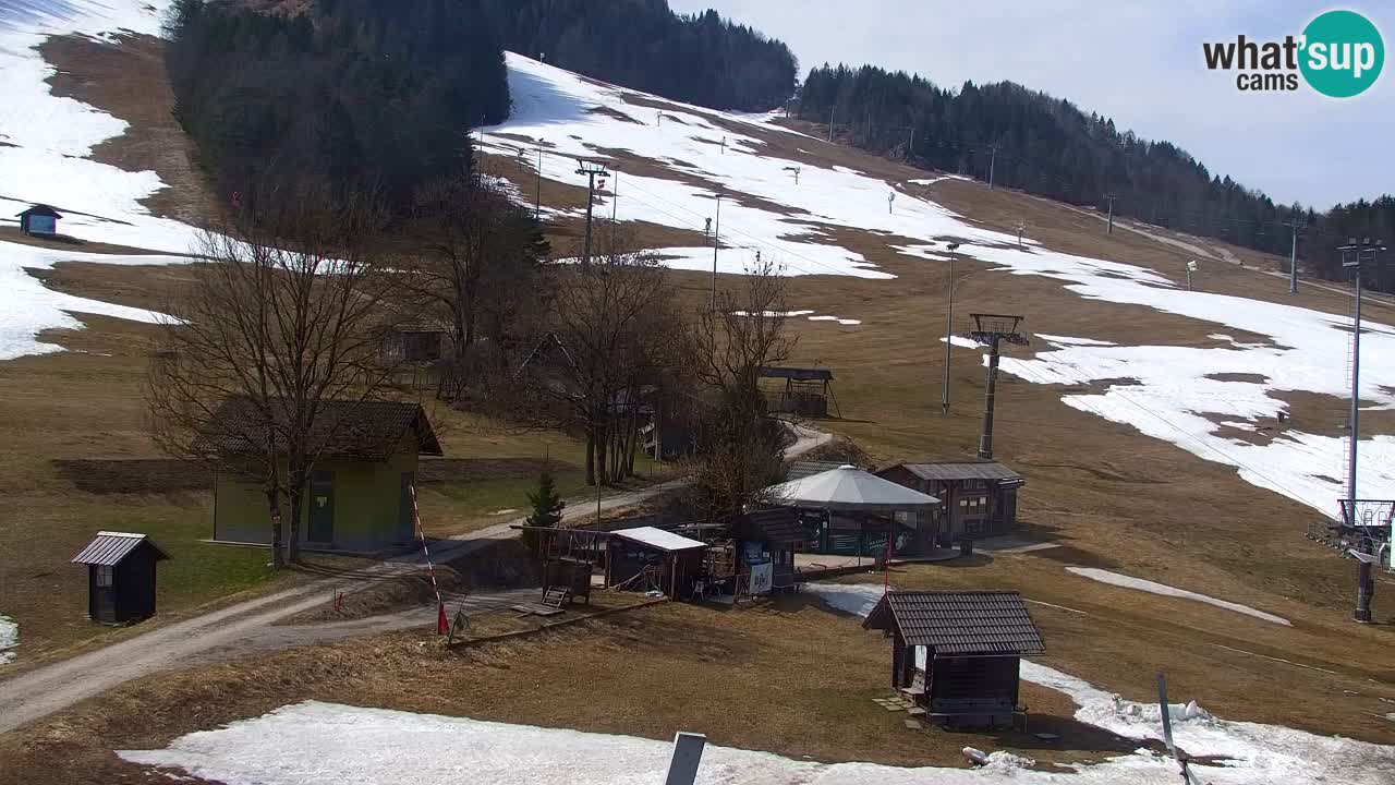 Webcam Kranjska Gora SKI resort | Bech, Kekec, Mojca ski