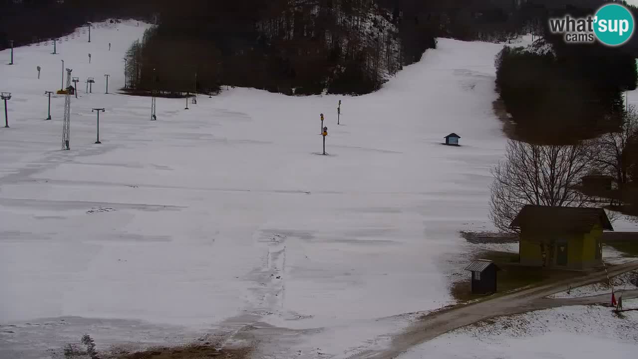 Web kamera Kranjska Gora Skijalište | Proge Mojca in Kekec