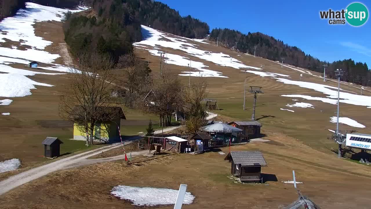 Webcam Kranjska Gora SKI resort | Bech, Kekec, Mojca ski