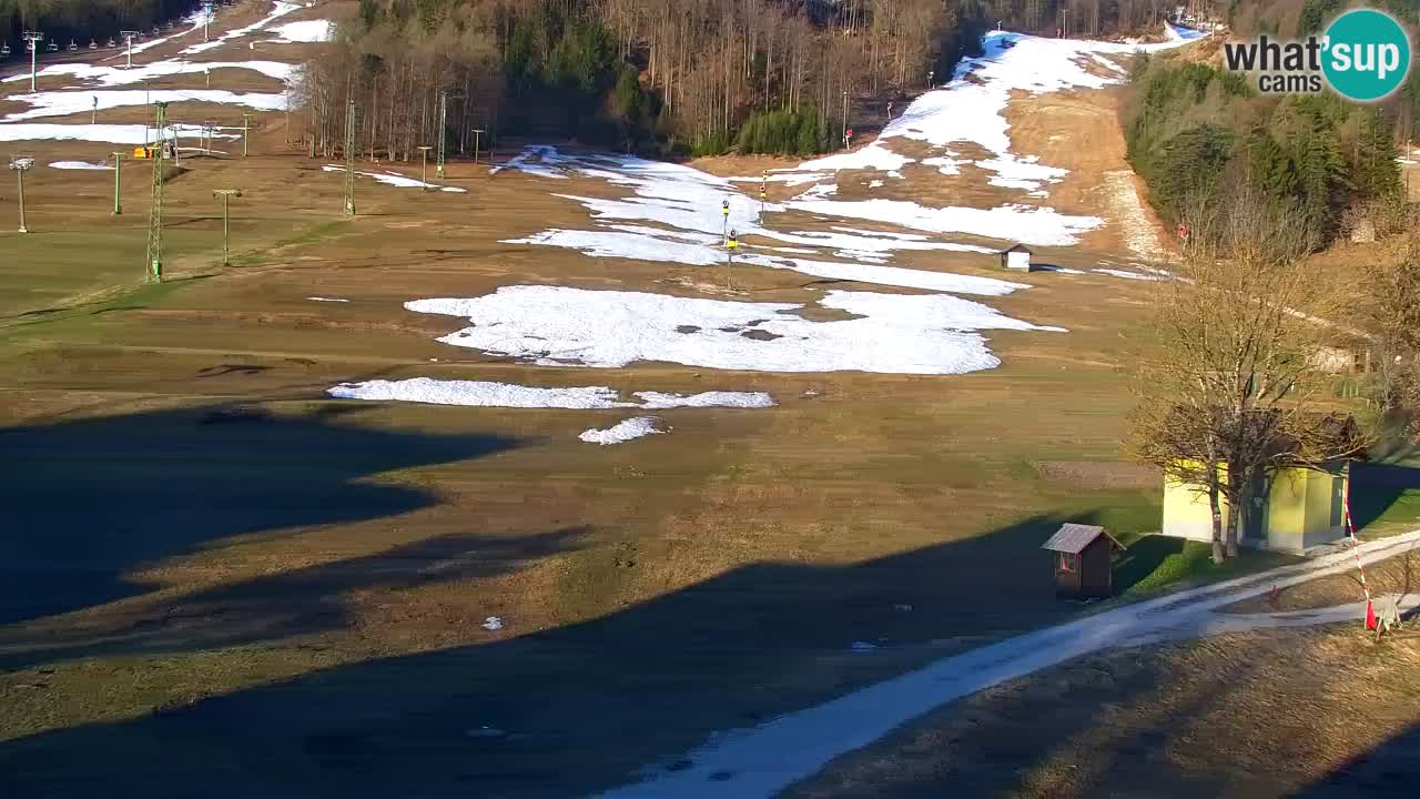 Webcam Kranjska Gora SKI resort | Bech, Kekec, Mojca ski