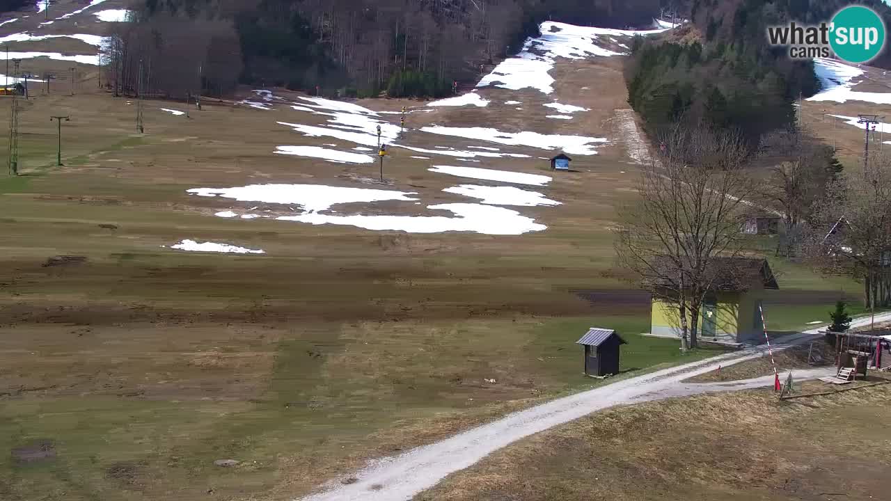 Webcam Kranjska Gora SKI resort | Bech, Kekec, Mojca ski