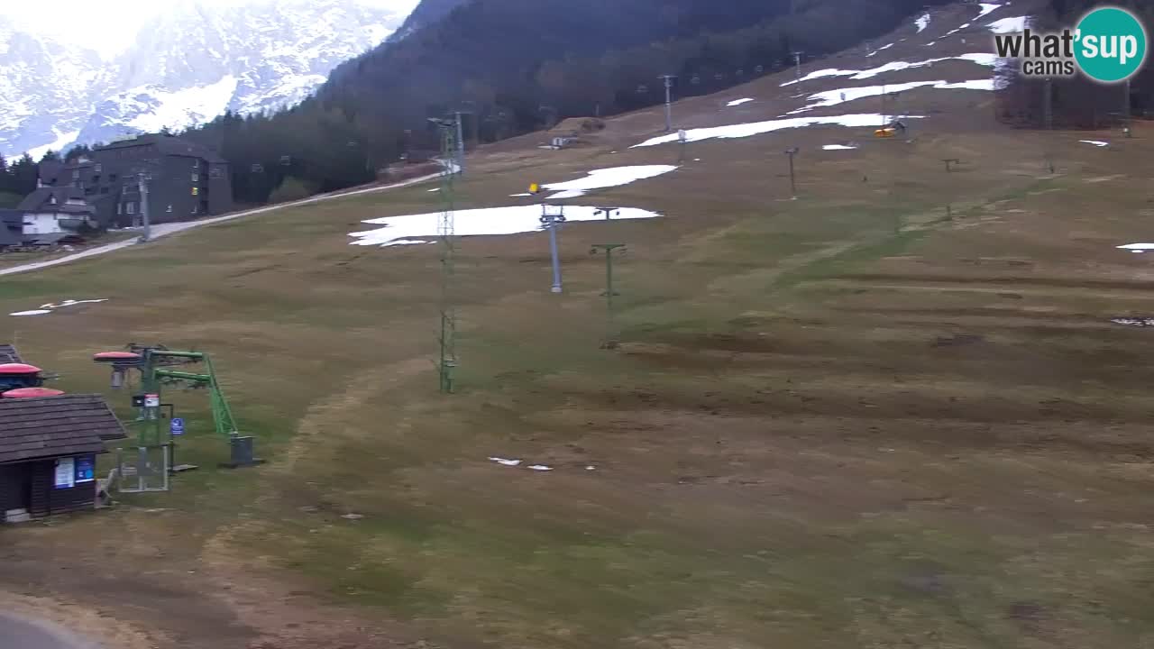 Webcam Kranjska Gora SKI resort | Bech, Kekec, Mojca ski