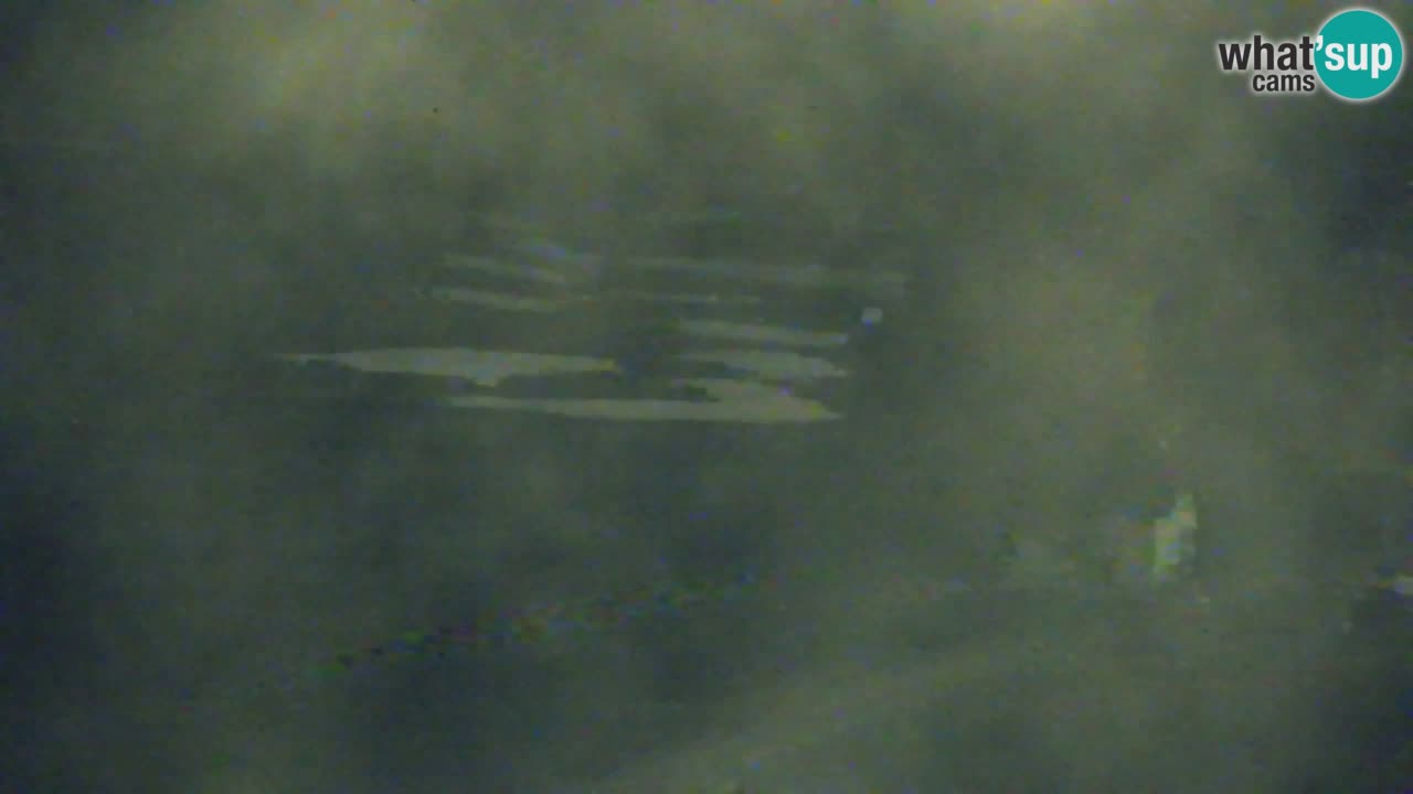 Webcam Kranjska Gora SKI – panoramica Piste centrali