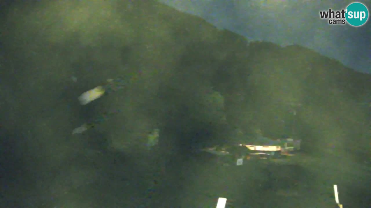 Webcam Kranjska Gora SKI resort | Bech, Kekec, Mojca ski
