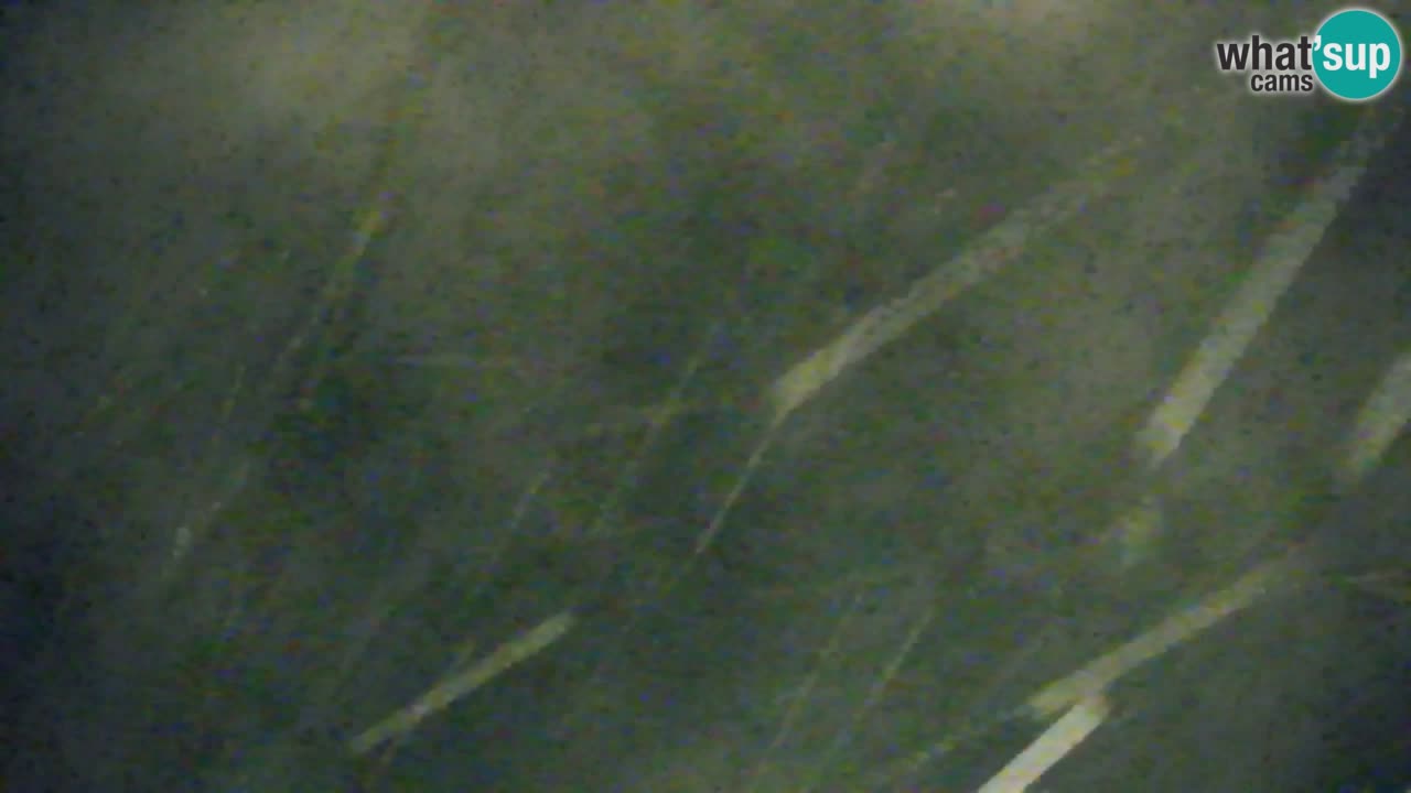 Webcam Kranjska Gora SKI resort | Bech, Kekec, Mojca ski